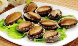 鲍鱼视频,视频带你领略海洋珍馐的魅力