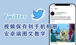 推特视频怎么下载,制作概述文章副标题的指南